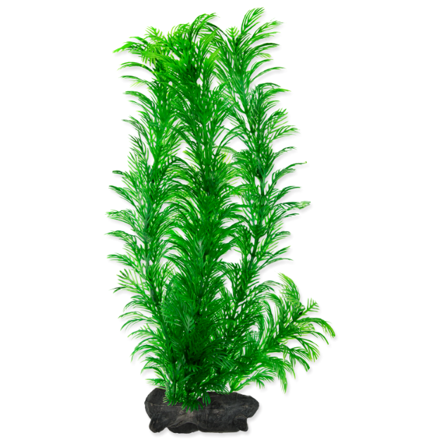 Rostlina TETRA Green Cabomba L 