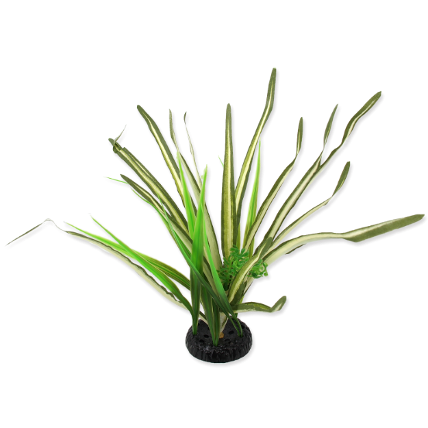 Rostlina REPTI PLANET travina Spartina 30 cm 